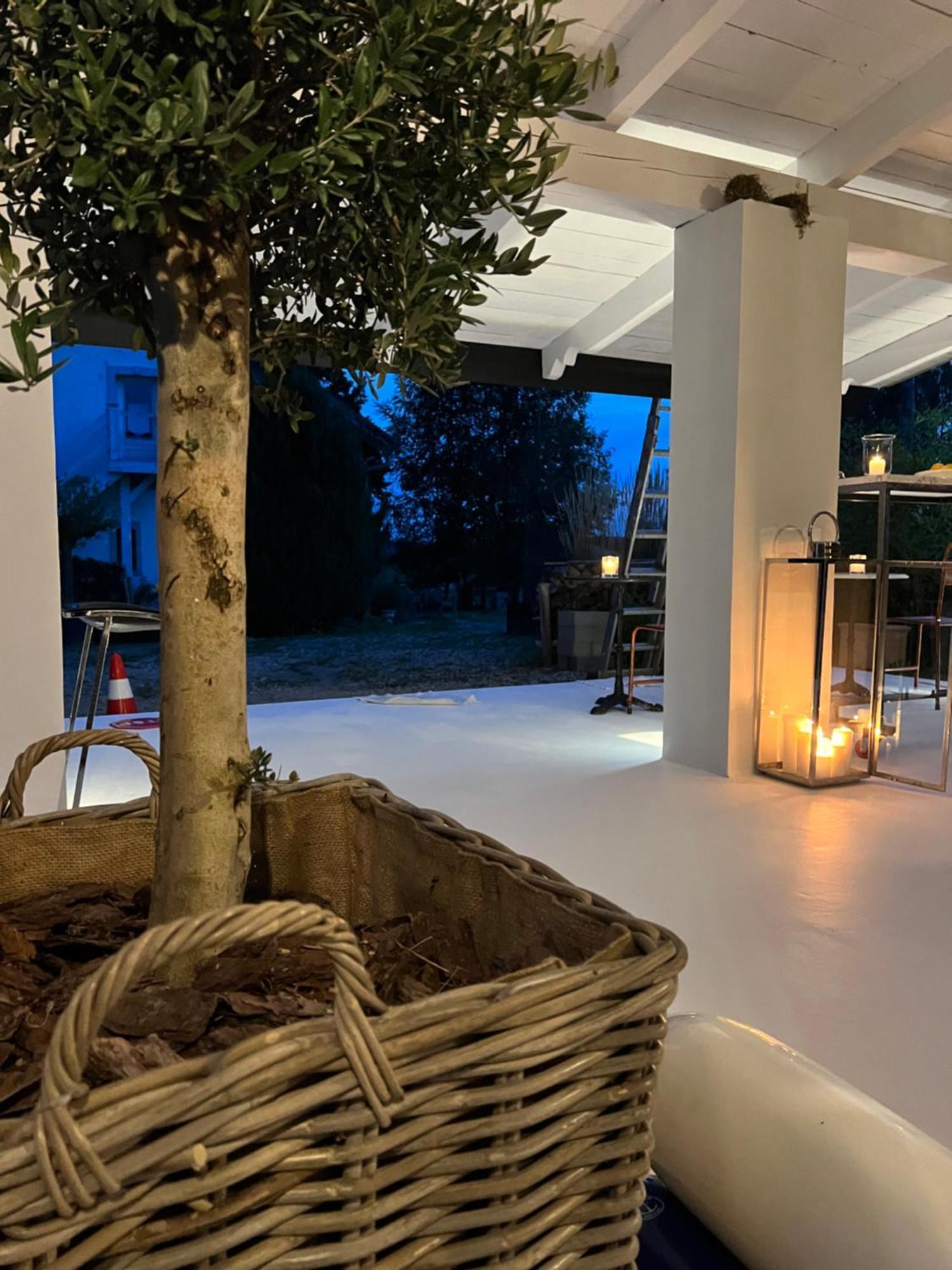 Ferienwohnung Siedlisko Blanki Suryty Exterior foto