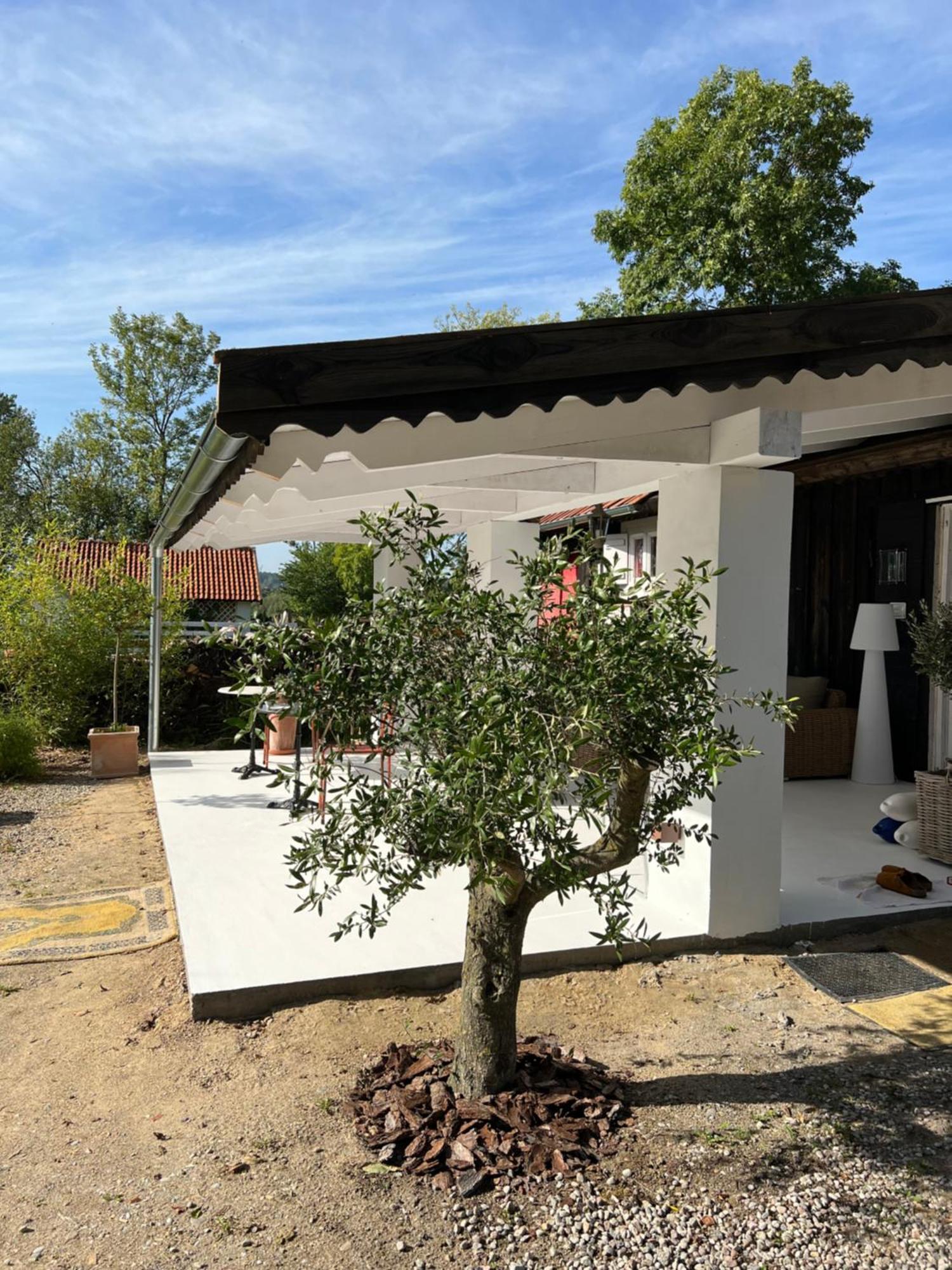 Ferienwohnung Siedlisko Blanki Suryty Exterior foto